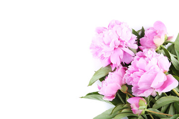 Bouquet of peony flowers isolated on white