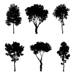 Vector illustration of tree silhouettes for architectural compositions with backgrounds