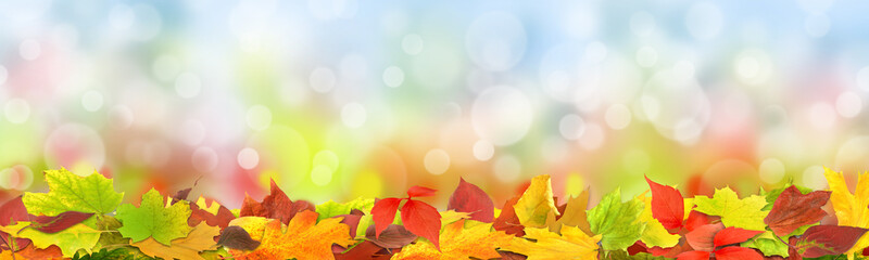 Herbst 125