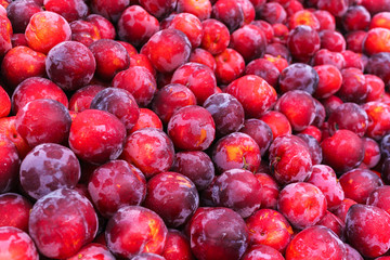 Fresh raft plums poured into the box in the market.