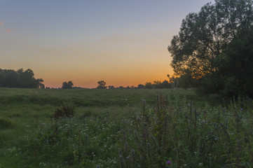 Obraz premium Evening dawn on a summer meadow 1