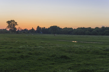 Evening dawn on a summer meadow 2