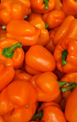 Fresh orange peppers poured into a box on the market.