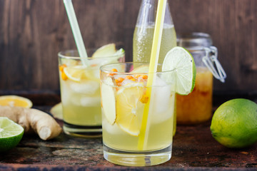 Ice lemonade with lime, lemon and ginger.