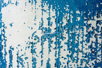 Old blue paint on a white wall, texture