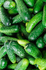 Fresh green cucumbers in a box in the market.