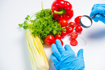 Research of various vegetables in the laboratory on GMOs and harmful substances.