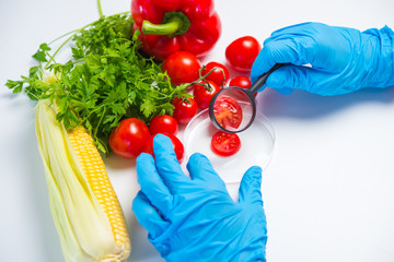 Research of various vegetables in the laboratory on GMOs and harmful substances.