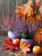 Blooming heather, colorful maple leaves and juicy fruits on a background of brown, wooden boards