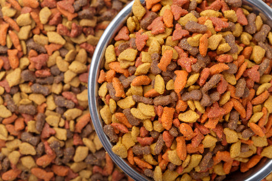 Colorful Dry Cat Dog Food In Granules. Pet Treats In Metal Bowl, View From Top Above Overhead. Copyspace For Text.
