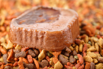 Colorful dry and wet canned pet cat dog food together. Closeup macro detail shot with copyspace for text.