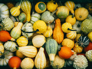 Mixed halloween fruits