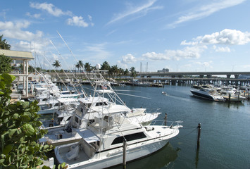 Fototapeta na wymiar Miami Marina Boats
