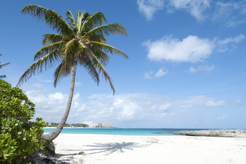 Paradise Island Beach