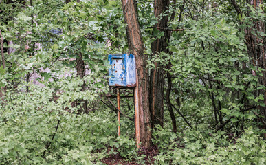 mailbox in center of Pripyat between green trees