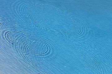 Cercles dans l'eau après passage des hirondelles © foxytoul