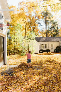 boy raking yellow leaves