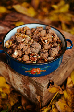 nuts on the ground