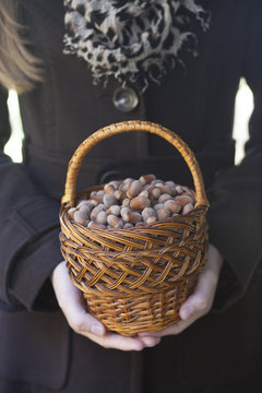 Beautiful girl holding busket of nutsf nuts