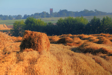 Pora Sianokosów © Wojciech Lisiński