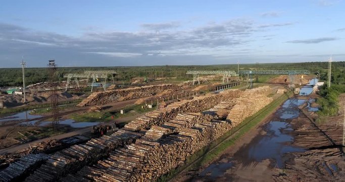 A huge ground for logging