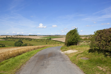 curving rural road