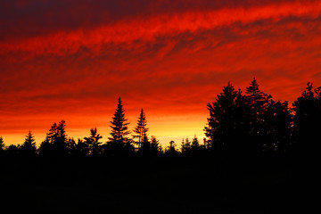 Deep Maine Woods Sunset 