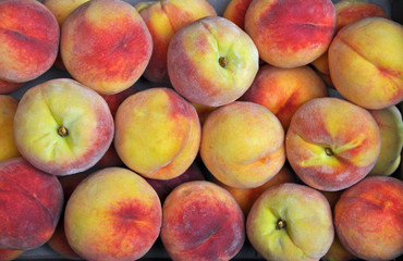 Fresh peaches ready for eating