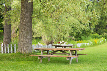 Fototapeta na wymiar Wooden picnic table in scenic park with trees, flowers and swan