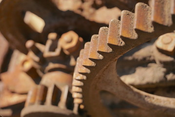 Old rusty gear