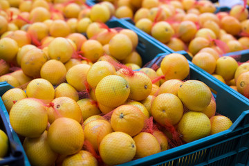 Fresh Oranges On The Market Placed In Boxes