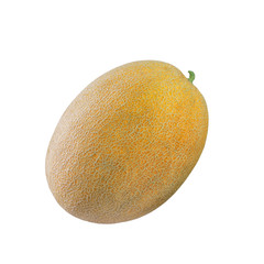 One ripe yellow sweet melon
