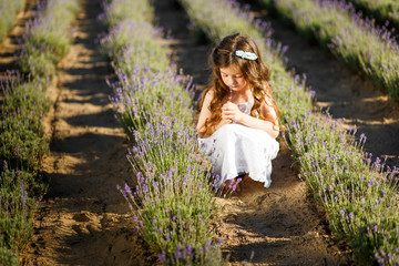 a girl in the lavender field at sunset.  A girl smelling lavender flowers. Family, love  concept