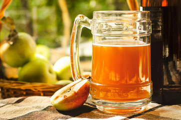 Apples, apple cider ale in beer glass and bottle on check pattern tablecloth. Rustic style. Selective focus