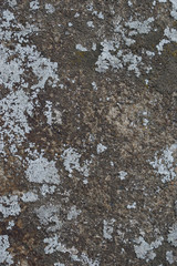 steine hintergrund struktur