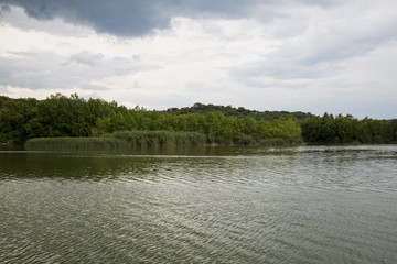 Lake and Forest