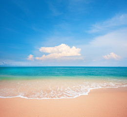 beach and tropical sea