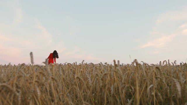 Young brunette woman in stylish red dress walking the golden field during colorful sunset and feeling happy.