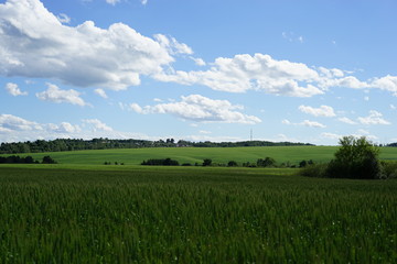 field