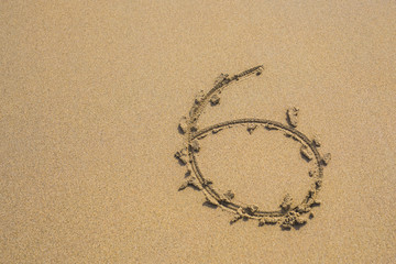 Six number written on sand on summer beach