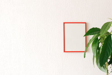 Mock up photo red frame with avocado plant. home decor