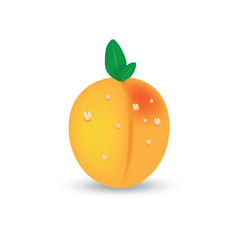 Peach vector isolated