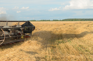 Naklejka premium Harvesting of bread by harvesters - harvesting.