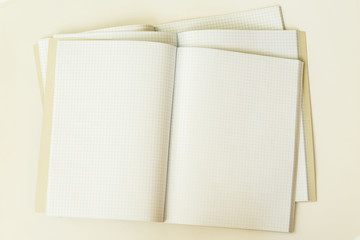 Close-up of three large open clean and empty notebook in a cage, top view, background, texture. Place for text, concept of back to school, starting school , any new cases