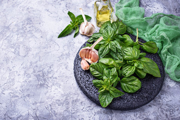 Fresh green basil with garlic and olive oil