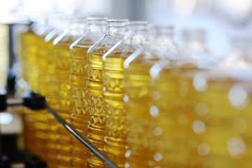 Sunflower oil. Line for the production and bottling of refined oil from sunflower seeds. Conveyor of food industry