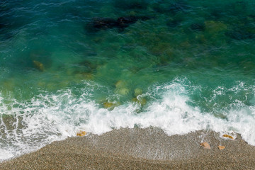 Beautiful light rose water lily or lotus
