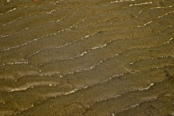 Sand Texture 2/ Low Tide at Edmonds Beach in Washington reveals many things and one of those are the sand markings of the ebb and flow of water on the sand.