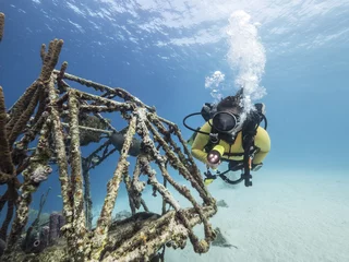 Dekokissen Unterwasser - Riff - Wrack - Fleugzeugwrack - Taucher - Tauchen - Curacao - Karibik © NaturePicsFilms