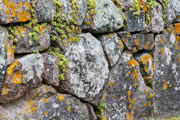 medieval stone fence and green grass in Gamla Uppsala village, Uppland, Sweden